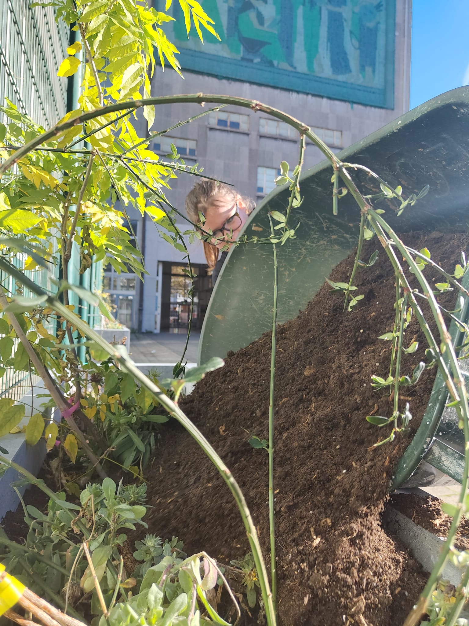 Aperçu - IMG-20251107-WA0077