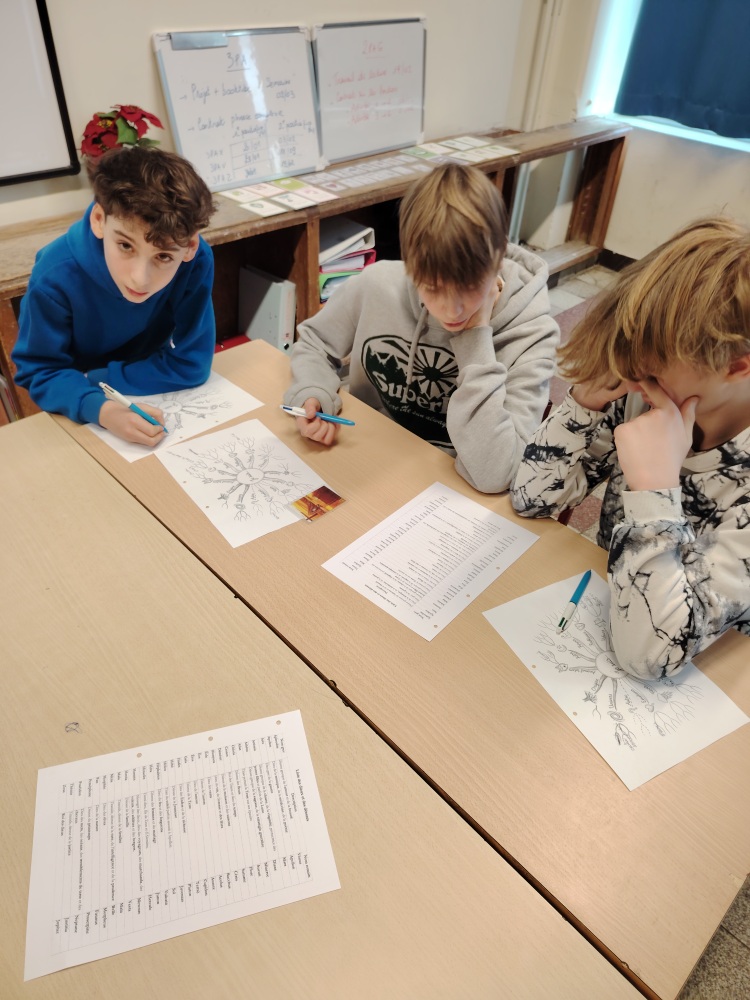 Aperçu - IMG_20260202_122437_resized_20260209_073052195