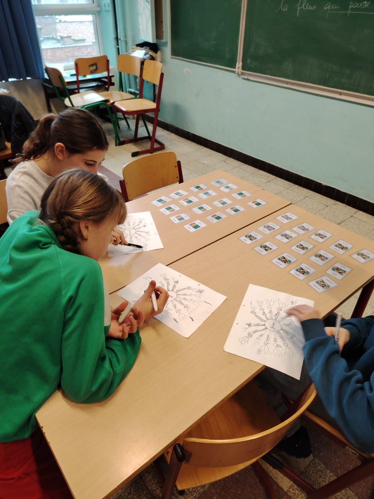 Aperçu - IMG_20260202_122445_resized_20260209_073051935