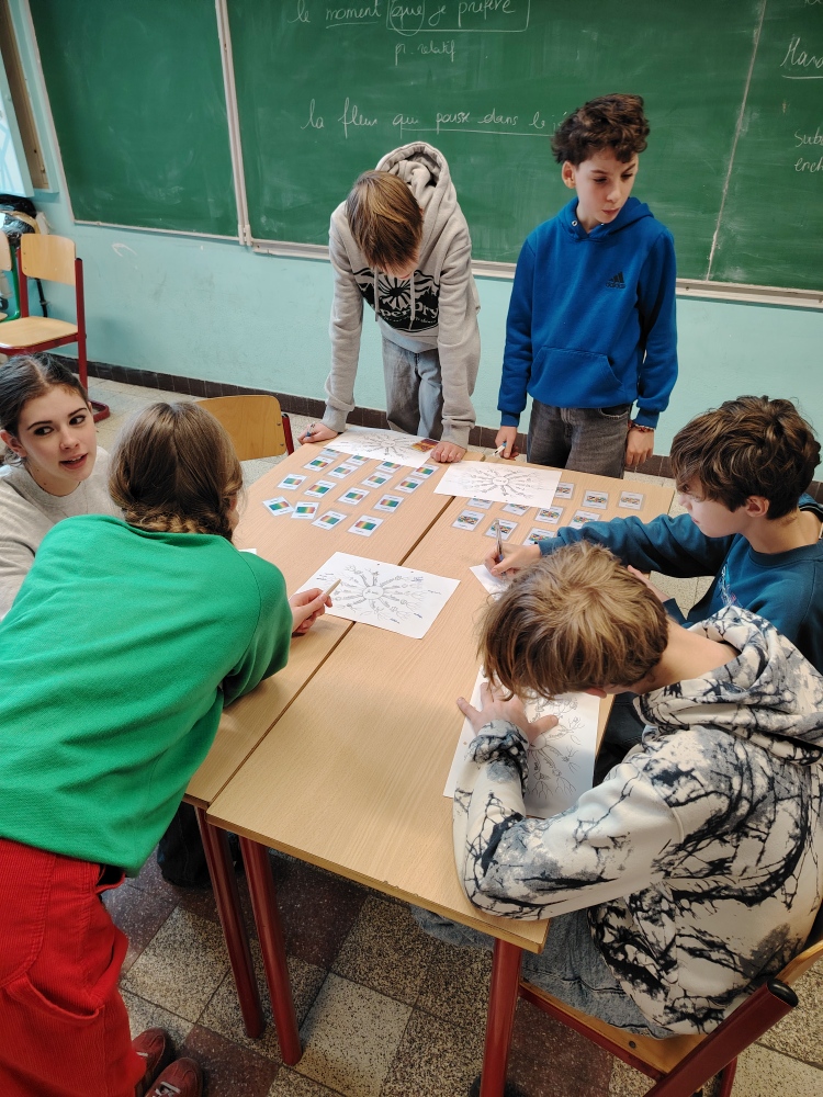 Aperçu - IMG_20260202_122716_resized_20260209_073052047