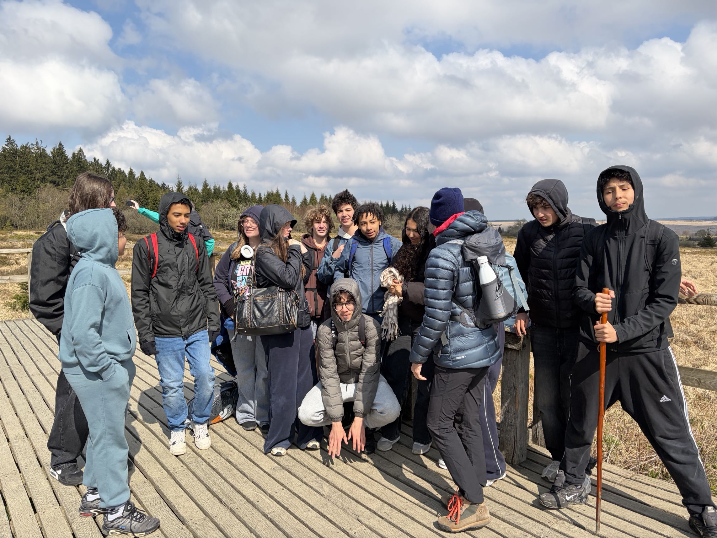 Aperçu - Afbeelding(9)